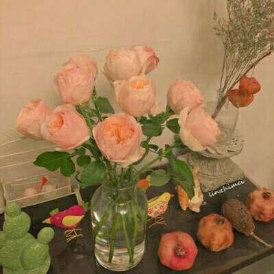 风云体育官方网站下载